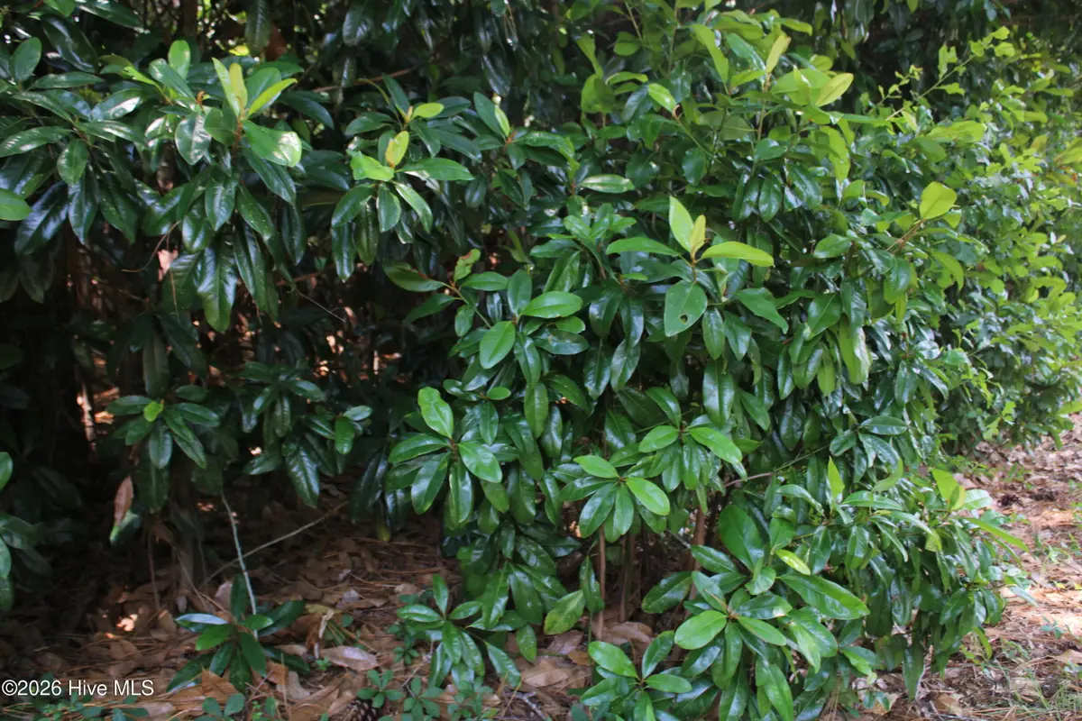 Lot 20 Grant Drive, Goldsboro, NC 27534 - #1