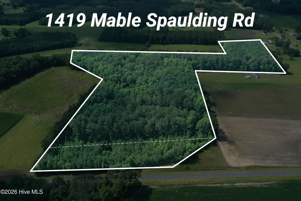 1419 Mable Spaulding Road, Whiteville, NC 28472 - #1