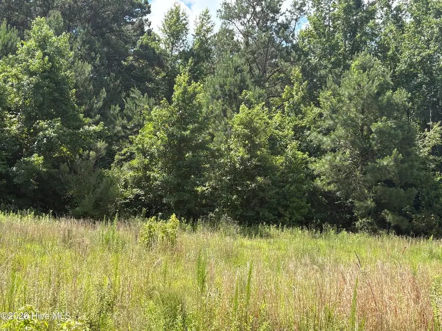 1419 Mable Spaulding Road, Whiteville, NC 28472 - #2