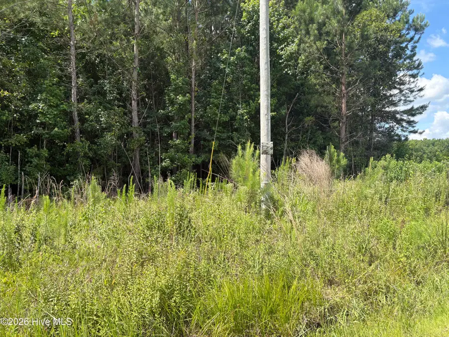 1419 Mable Spaulding Road, Whiteville, NC 28472 - #3