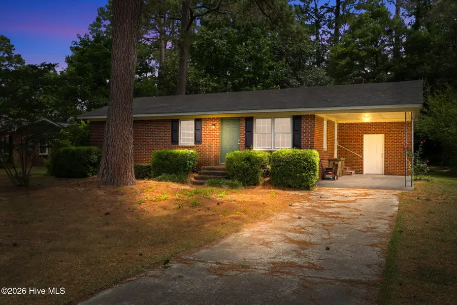 247 Harper Drive, Snow Hill, NC 28580 - #3