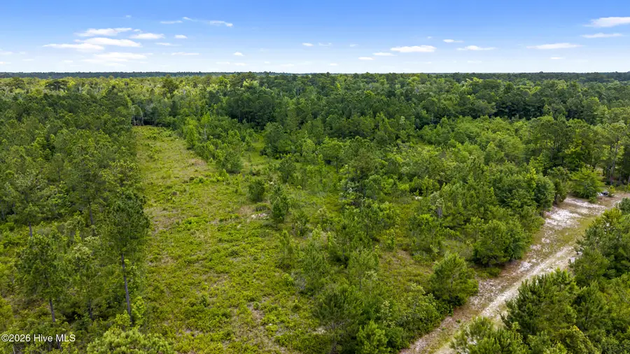 0 Tbd 110 Acres American Way Road, Rocky Point, NC 28457 - #3