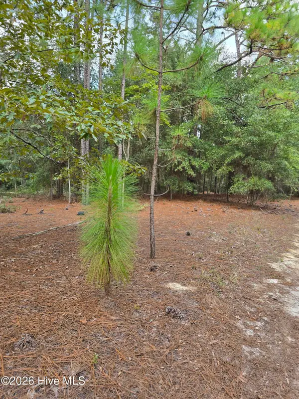 317 R J Johnson Road, Allendale, SC 29810