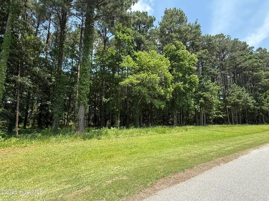 18 Indian Town Creek Drive, Hertford, NC 27944 - #2