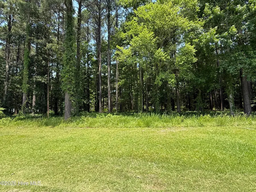 18 Indian Town Creek Drive, Hertford, NC 27944 - #3