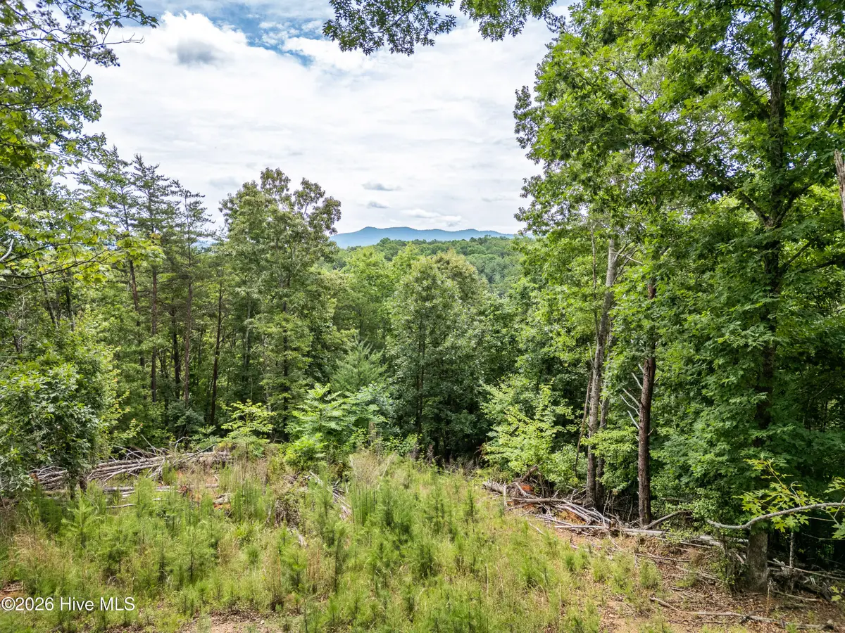 1 Stormy Ridge, Brasstown, NC 28902 - #1