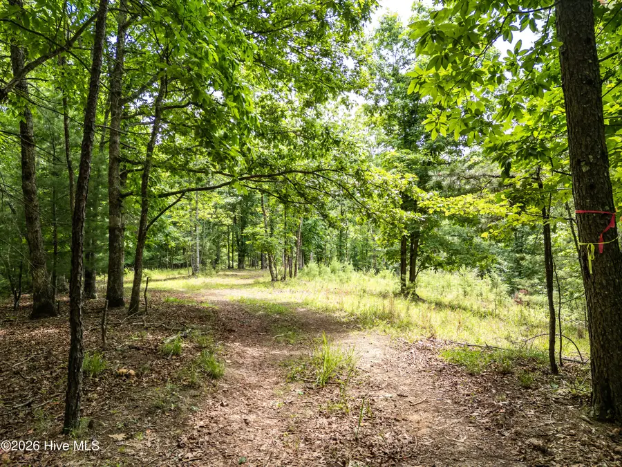 1 Stormy Ridge, Brasstown, NC 28902 - #2