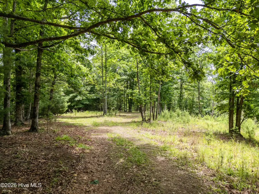 1 Stormy Ridge, Brasstown, NC 28902 - #3