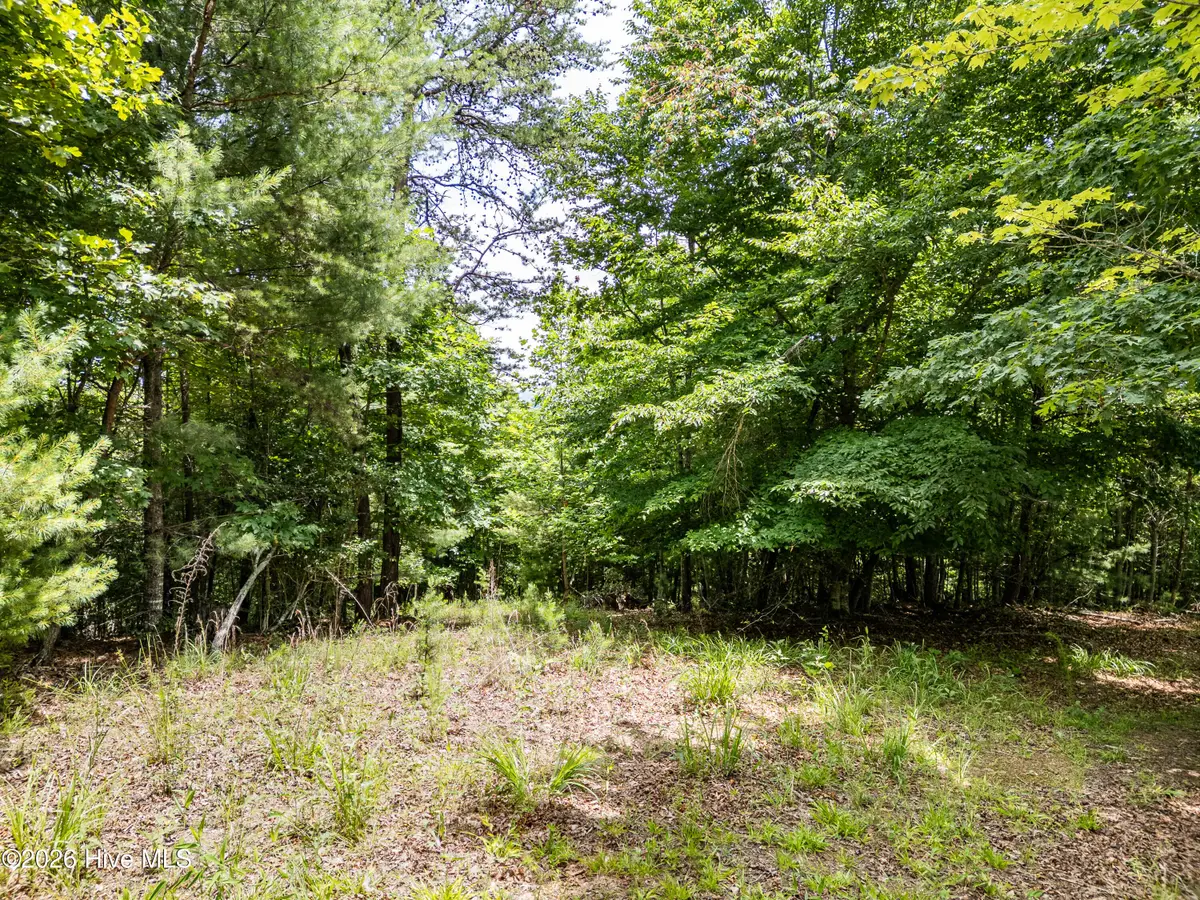 2 Stormy Ridge, Brasstown, NC 28902 - #1