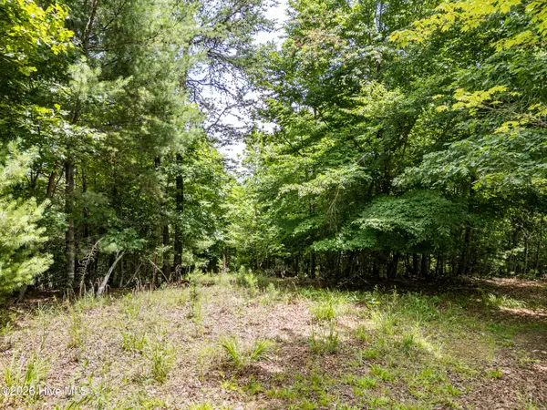 2 Stormy Ridge, Brasstown, NC 28902