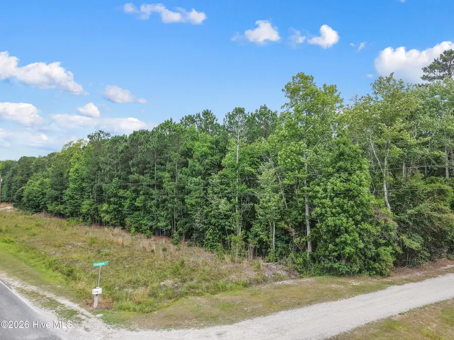 0 Todd Road Sw, Shallotte, NC 28470 - #2