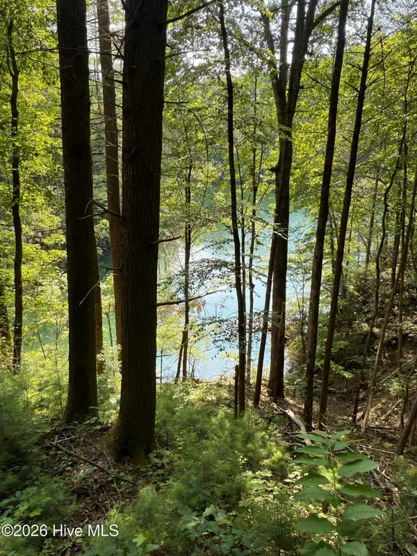 00 Berry Patch Road, Murphy, NC 28906