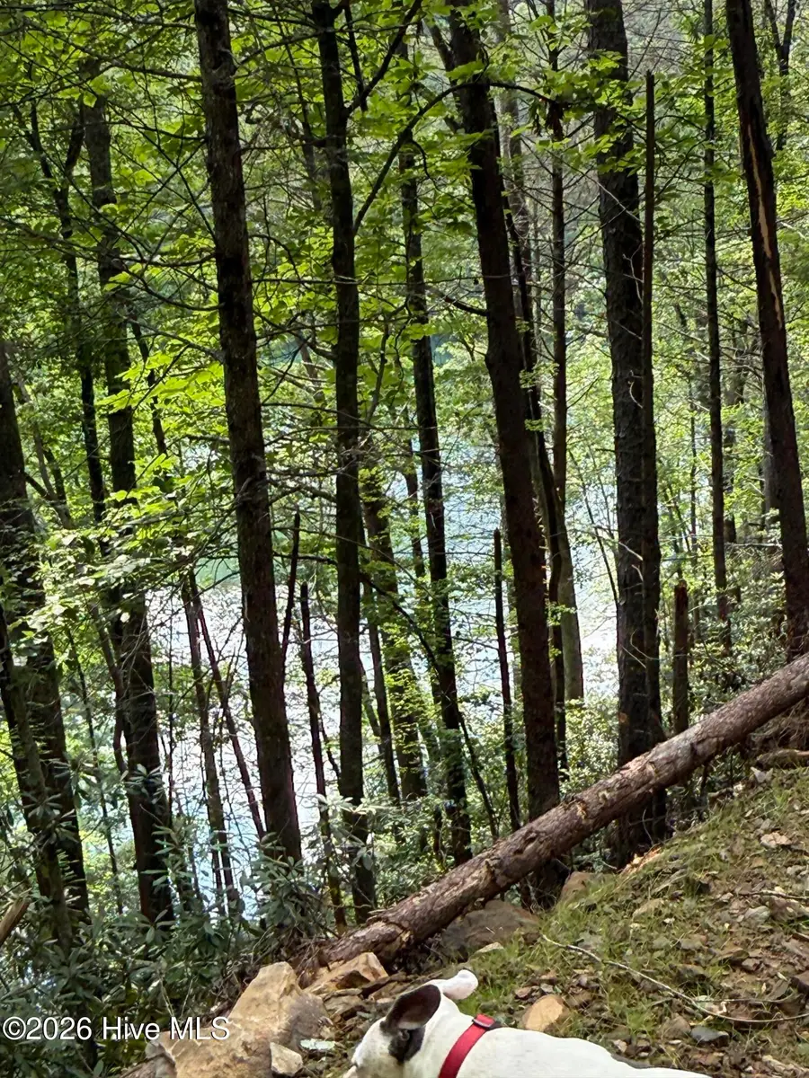 00 Berry Patch Road, Murphy, NC 28906 - #2