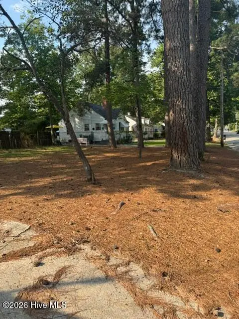 1111 Grove Street N, Wilson, NC 27893 - #3