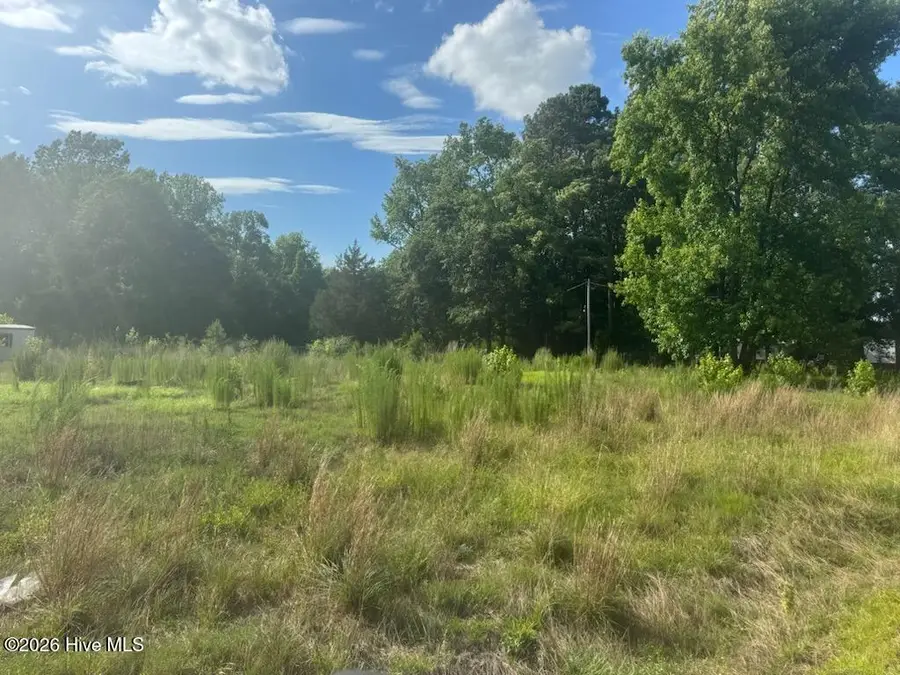 447 Jimmy Road, Magnolia, NC 28453 - #2