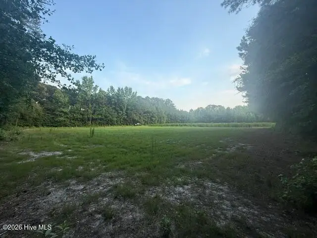 1005 Regal Road, Goldsboro, NC 27534 - #2
