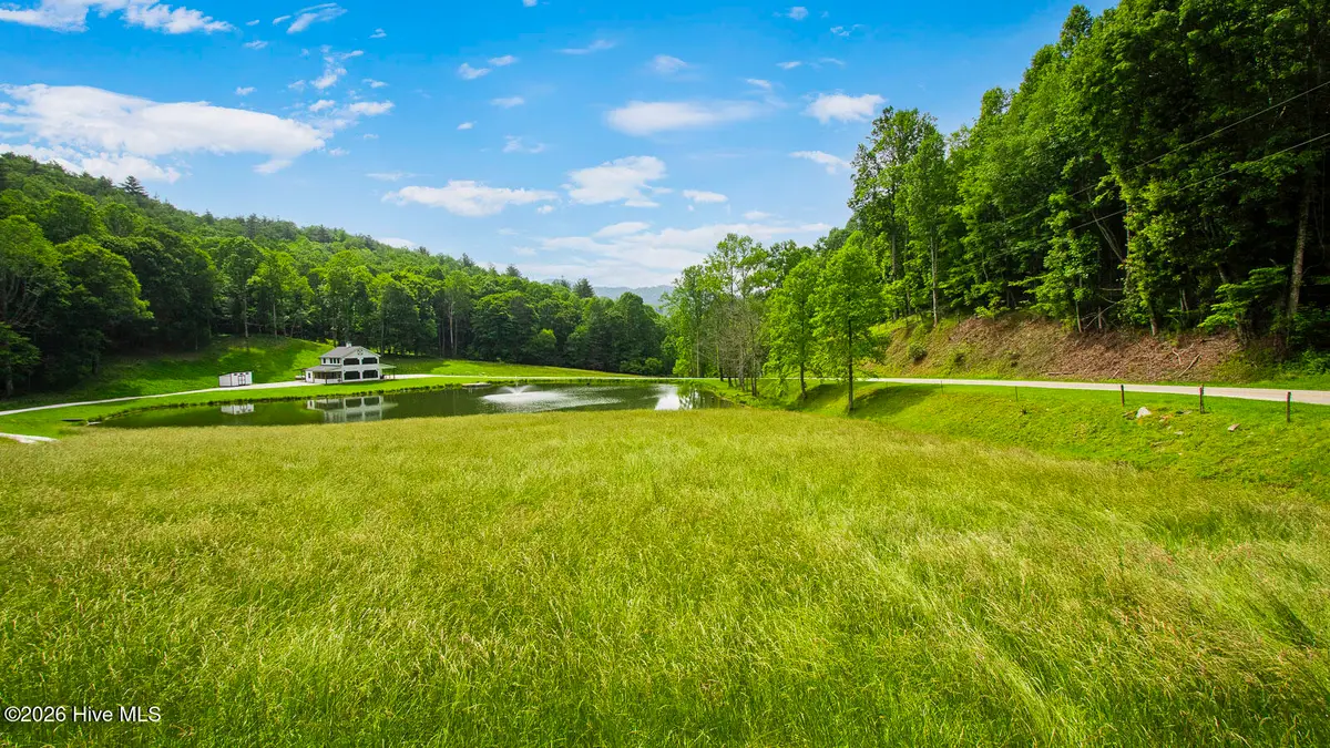 1651 Windingstairs Road, Topton, NC 28781 - #1