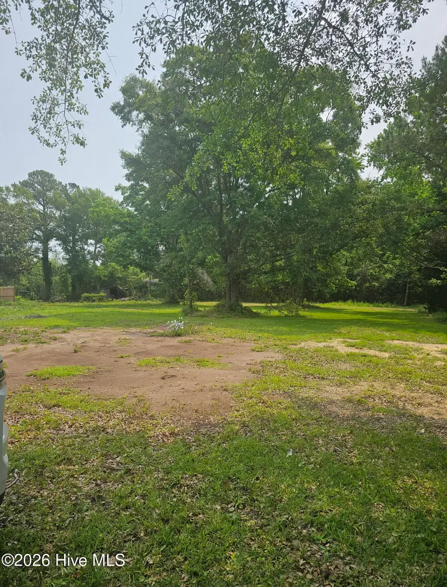 222 Fulcher Landing Road, Sneads Ferry, NC 28460 - #3
