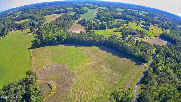Lot 4 Near 2151 Dolph Lewi Road, Cerro Gordo, NC 28430