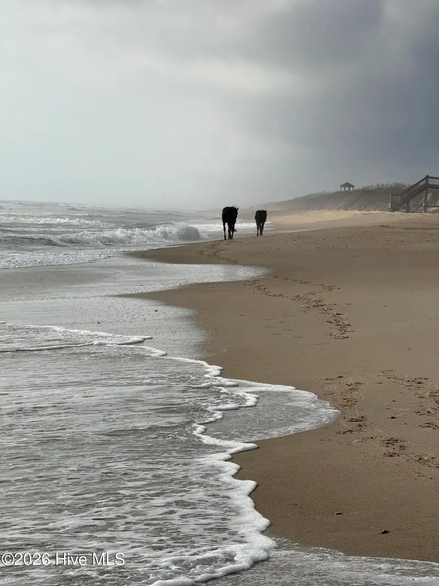 2391 Sandpiper Road, Corolla, NC 27927 - #3