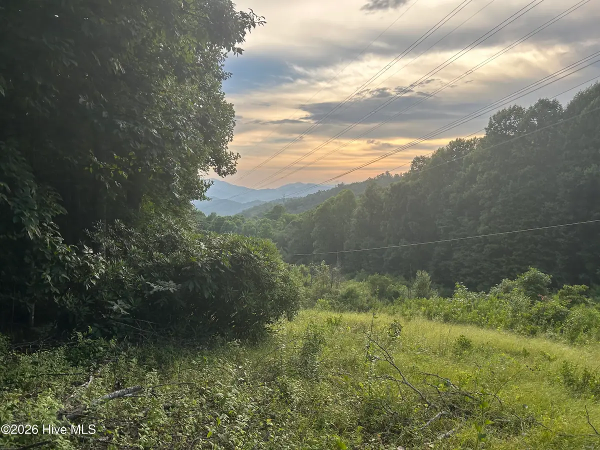 0 Otter Creek Road, Topton, NC 28781 - #1