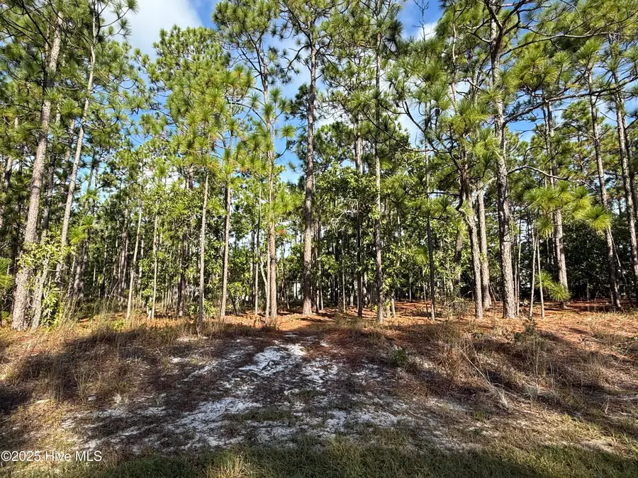 585 Westwood Road, Southport, NC 28461 - #2