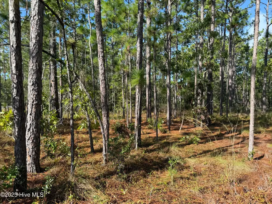 585 Westwood Road, Southport, NC 28461 - #3