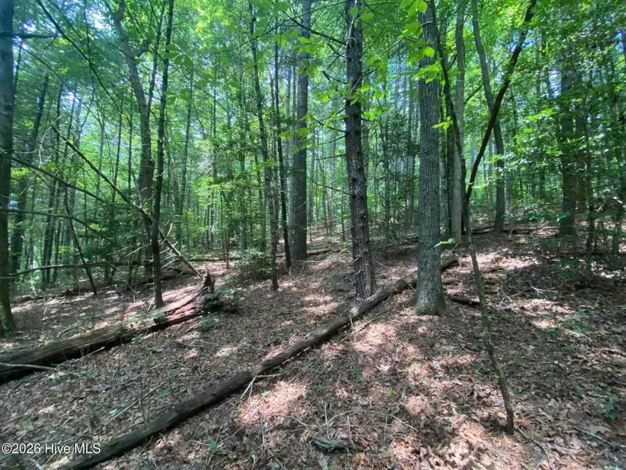 P/O 2340 Candy Mountain Road, Murphy, NC 28906 - #2