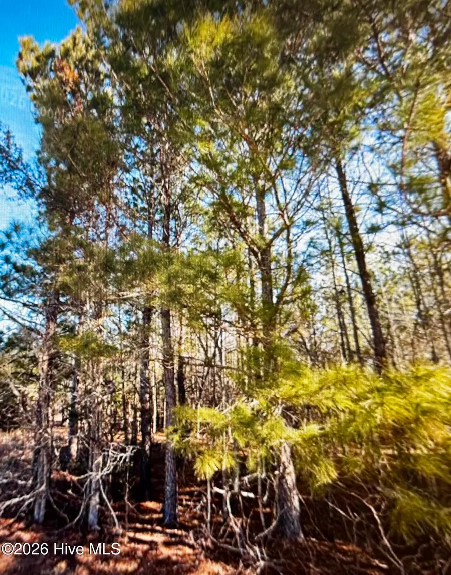 285 Dodge Point Drive, Pinetops, NC 27864 - #2