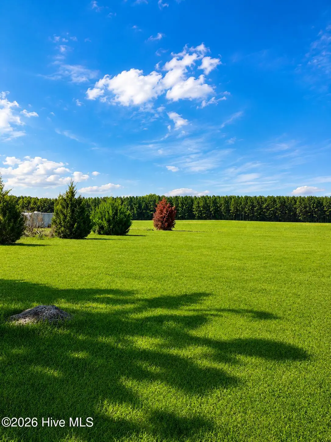 112 Chowan Shores Drive, Colerain, NC 27924 - #1