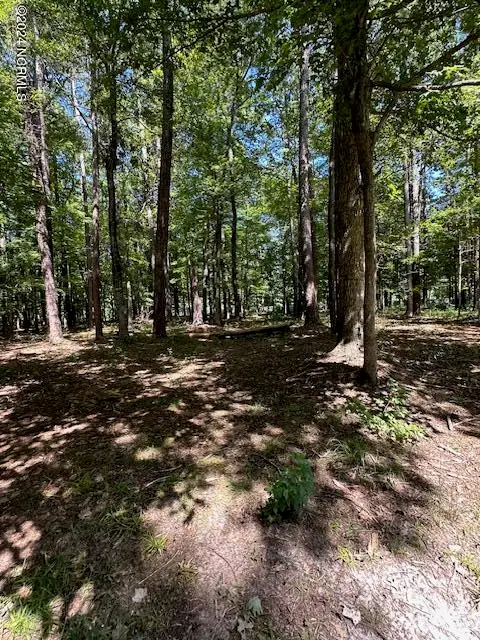 109 Chatooga Court E, Hertford, NC 27944 - #3