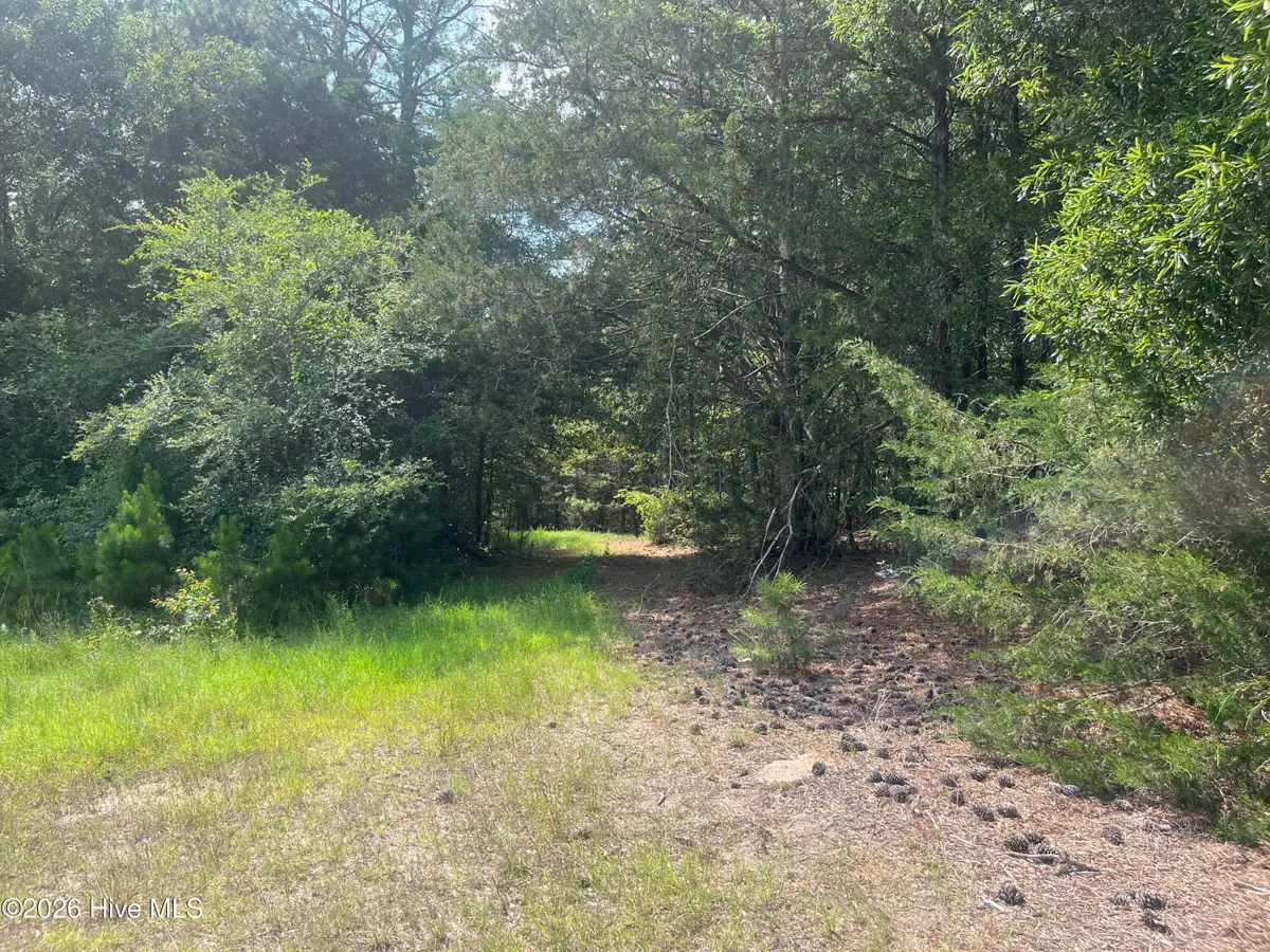 16.9 Ac Rowland-york Drive, Lincolnton, GA 30817 - #1