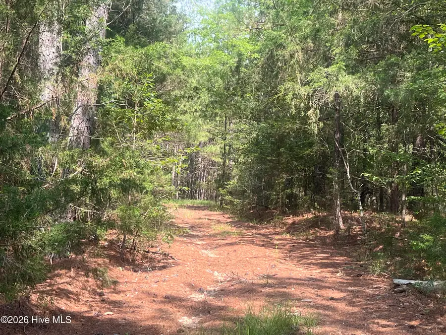 16.9 Ac Rowland-york Drive, Lincolnton, GA 30817 - #3