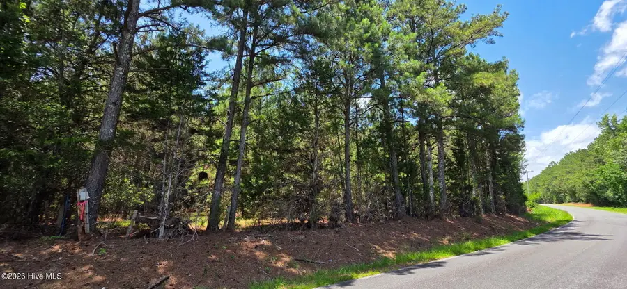 5a Chestnut Ridge Road, McCormick, SC 29835 - #2