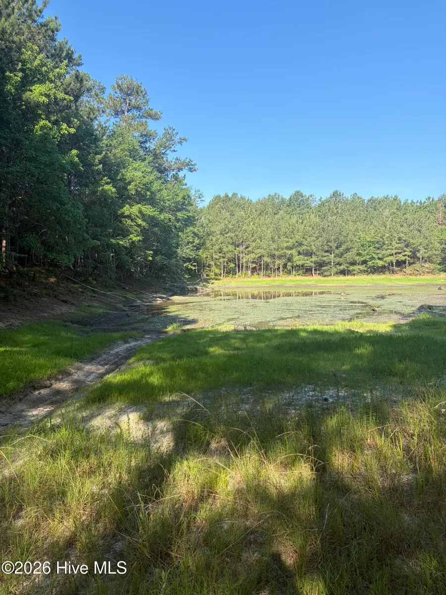 Tbd Jones Spring Church Road, Ellerbe, NC 28338 - #2