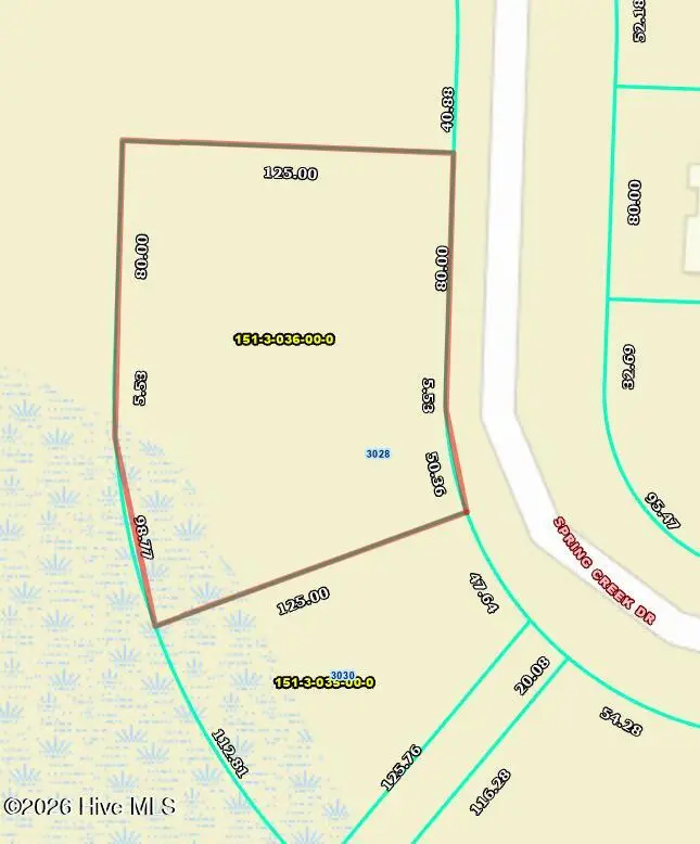 3028 Spring Creek Drive, Hephzibah, GA 30815 - #1