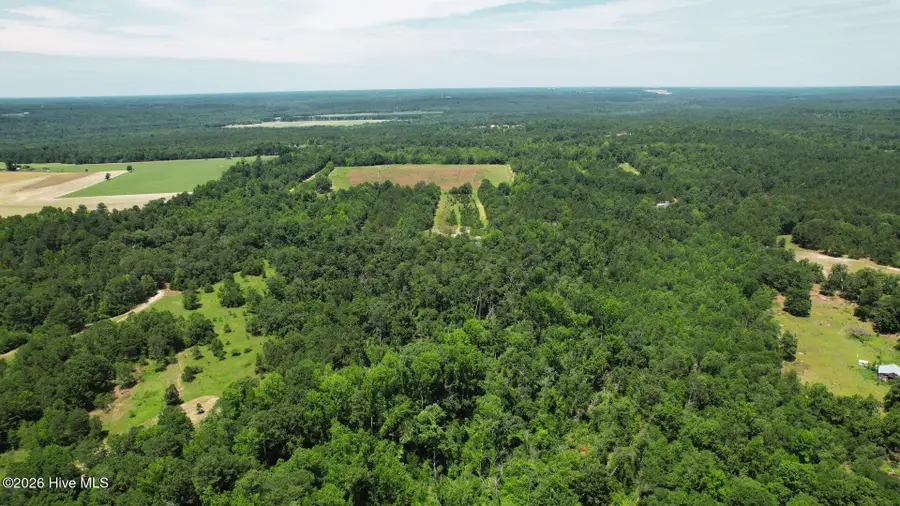 1110 Ga-88, Blythe, GA 30805 - #3