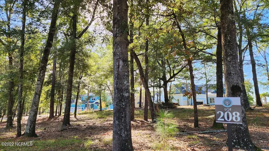 3627 White Cliffs Drive, Castle Hayne, NC 28429 - #2