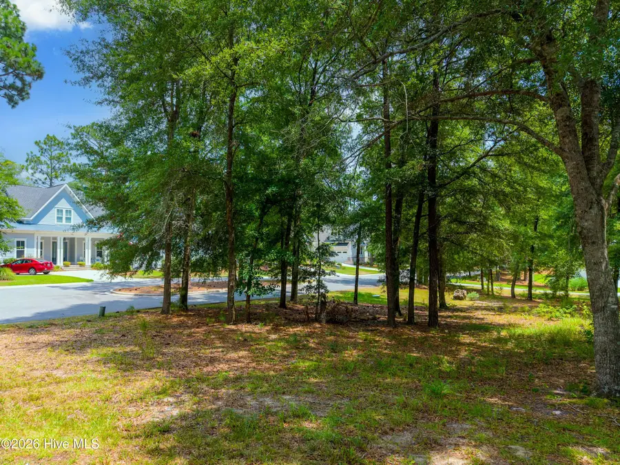 3627 White Cliffs Drive, Castle Hayne, NC 28429 - #3