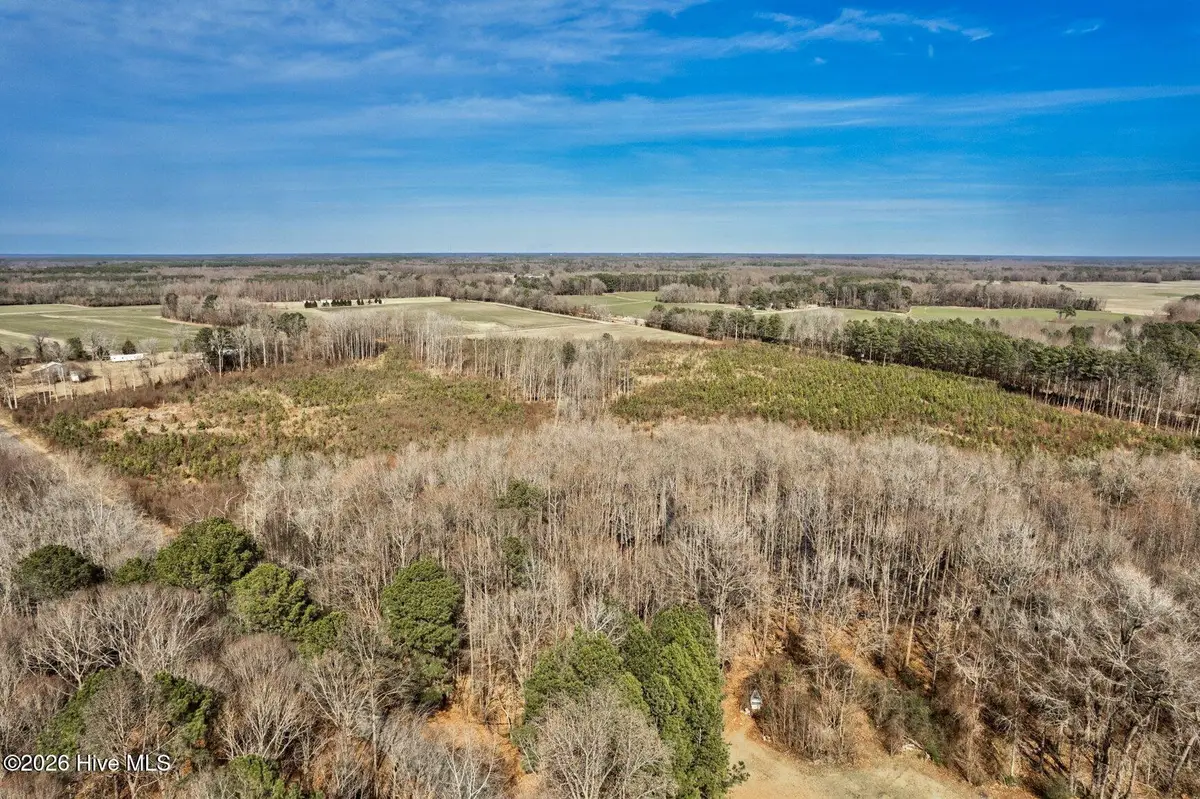 000 Ethridge Road, Whitakers, NC 27891 - #1