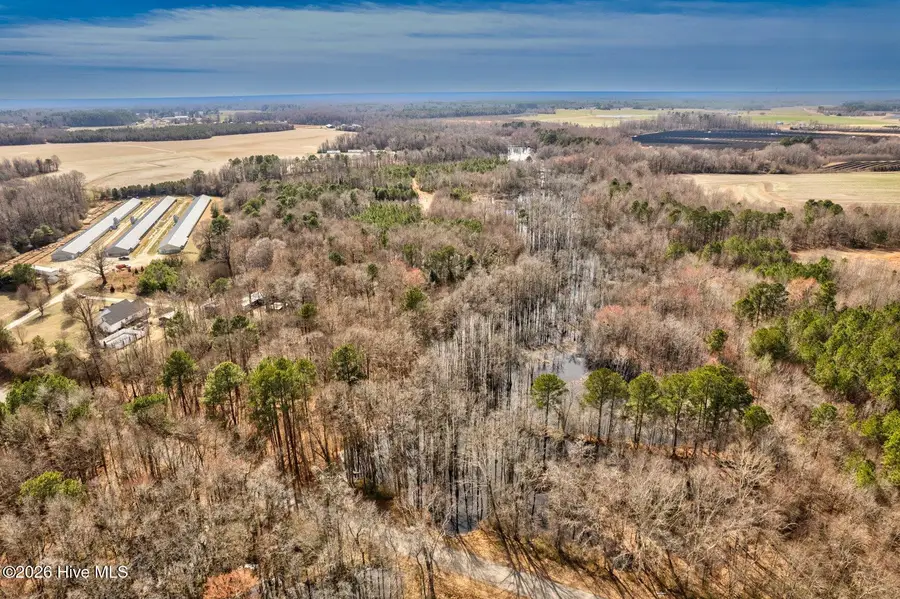 000 Ethridge Road, Whitakers, NC 27891 - #2