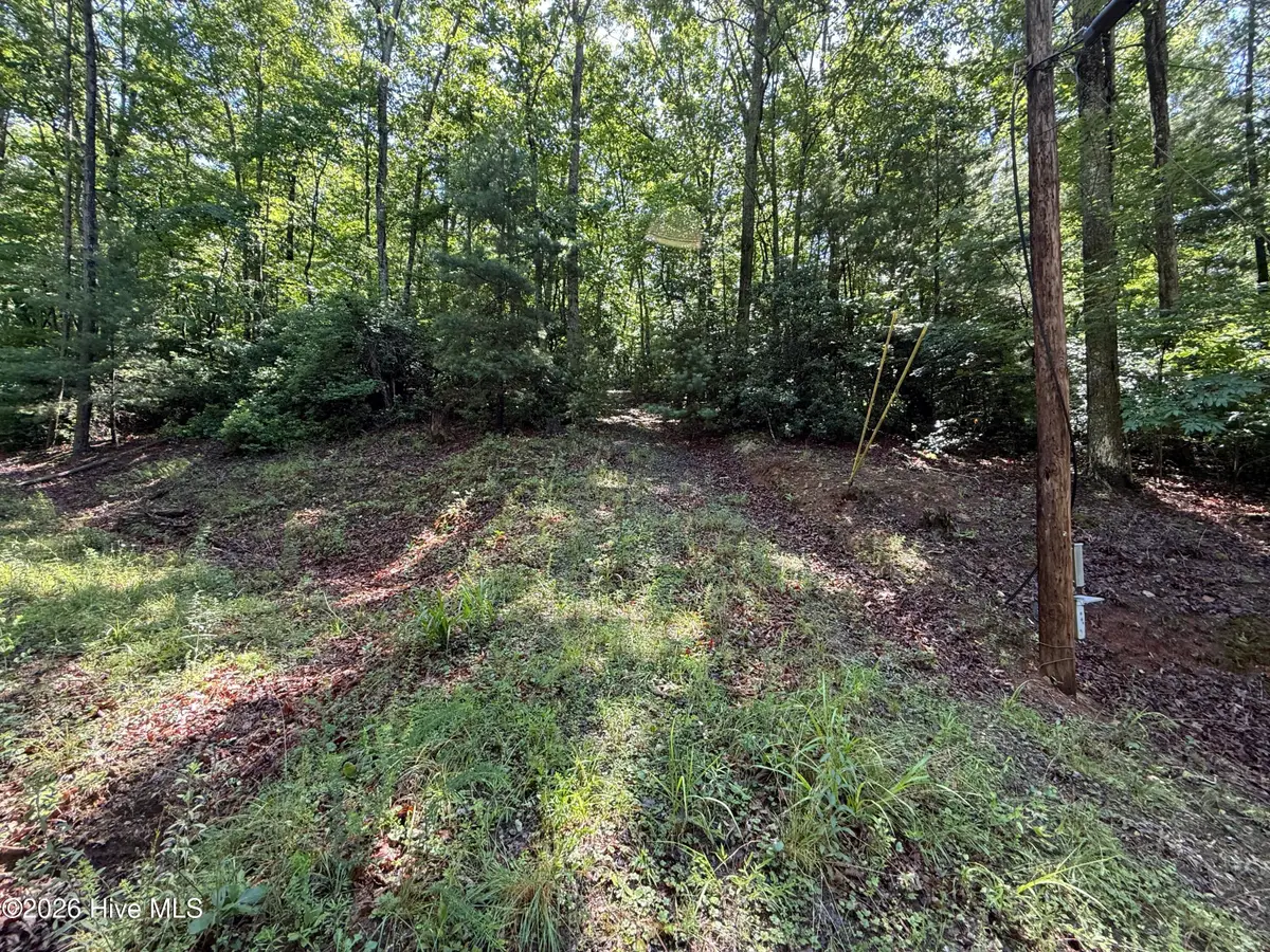 81 Roberts Road, Murphy, NC 28906 - #1