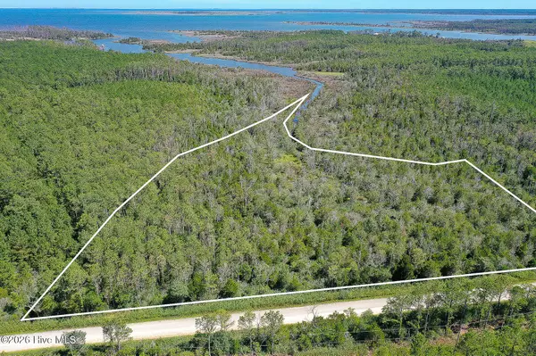 4.57 Acres Meekins Road, Bayboro, NC 28515