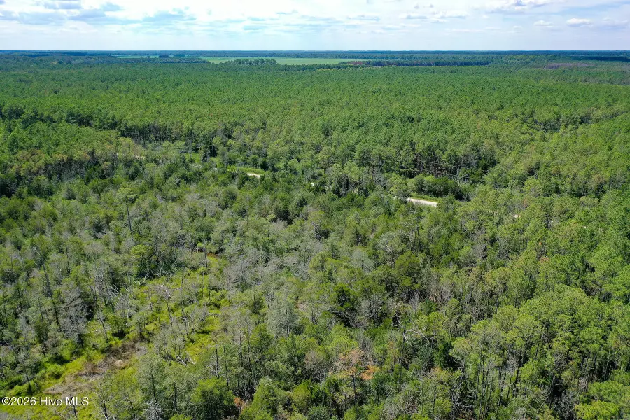 4.57 Acres Meekins Road, Bayboro, NC 28515 - #3