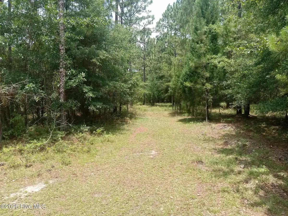 Lot 7 Maple Road, Boiling Spring Lakes, NC 28461 - #1