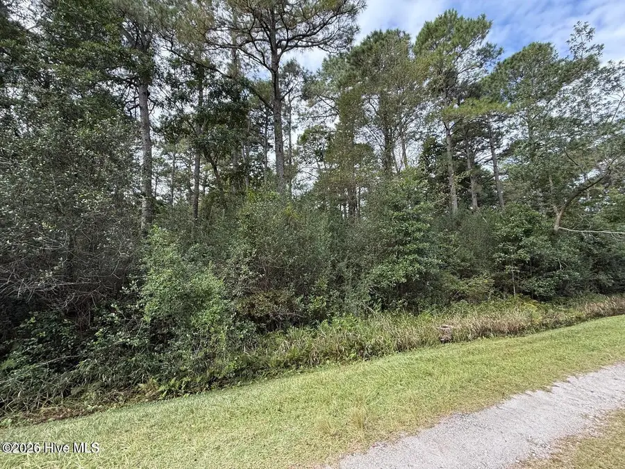 Lot 7 Maple Road, Boiling Spring Lakes, NC 28461 - #2