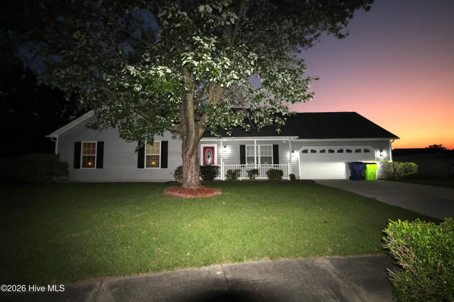 903 Gum Branch Court, Havelock, NC 28532 - #3