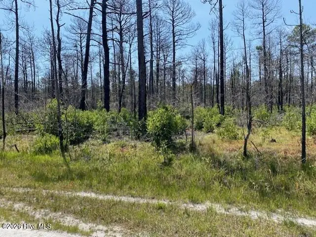 799 Jasmine Road, Boiling Spring Lakes, NC 28461 - #1