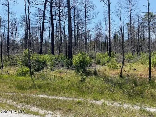 799 Jasmine Road, Boiling Spring Lakes, NC 28461