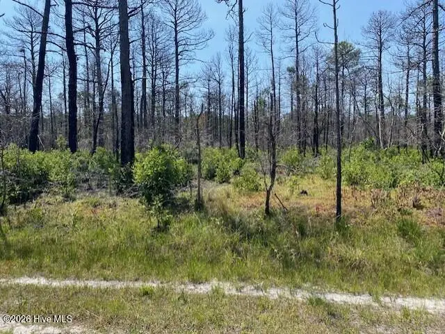 799 Jasmine Road, Boiling Spring Lakes, NC 28461 - #2